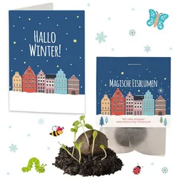 Ideenverlag Hamburg Ideenverlag Hamburg 10 „Winterlandschaft“ Samenbomben im Tütchen mit Kaltkeimer-Saatgut + 10 Gratis Geschenk Grußkarten / Weihnachtsgruß/Wichtelgeschenk/Weihnachtsgeschenk – Produktbild 1 von 1