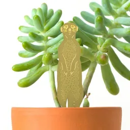 another studio another studio Plant Animal - Design Pflanzendekoration - Figuren aus Messing – Produktbild 1 von 1
