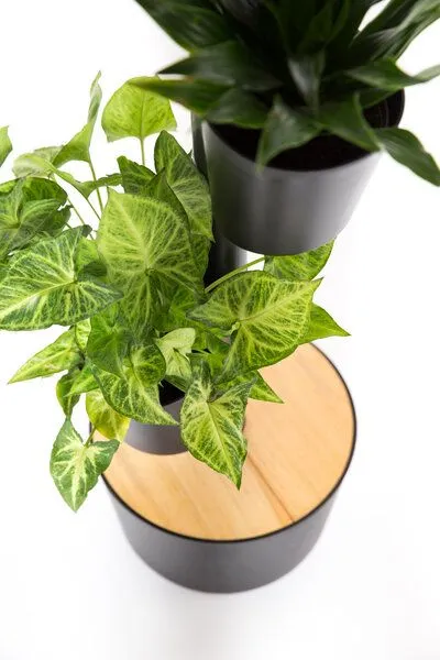 CitySens CitySens Vertikaler Blumentopf mit manueller Bewässerung 3 Blumentöpfe, Schwarz, – Produktbild 4 von 4