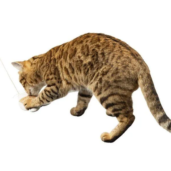 Kork-Deko Kork-Deko Katzenangel (Dreieck-Form) mit Füllung aus Katzenminze (EU-Anbau) – Produktbild 4 von 4
