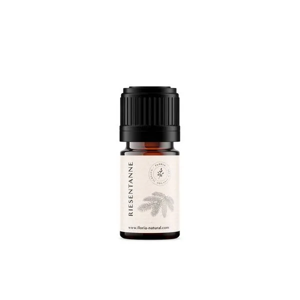 FLORIA - NATURAL ORGANIC CARE FLORIA - NATURAL ORGANIC CARE Waldspaziergang Nadelduft Set – Produktbild 2 von 2