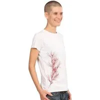 Life Tree Life-Tree Fairwear Bambus Shirt Women Warm White Pine Branch – Produktbild 1 von 1