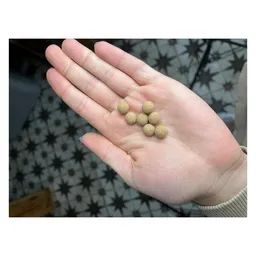 Kork-Deko Kork-Deko Kugel aus Presskork 10 mm – Produktbild 1 von 1