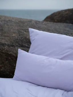 erlich textil erlich textil Cotton Select Kopfkissenbezug für Unisex aus Baumwolle-Flanell in lavendel – Produktbild 1 von 1