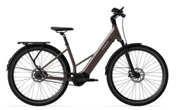 Tenways Tenways AGO Air Pro 560 Wh Damen braun 2026 – Produktbild 1 von 1