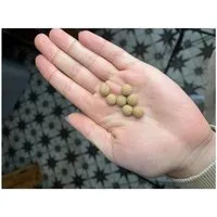Kork Deko Kork-Deko Kugel aus Presskork 10 mm – Produktbild 1 von 1