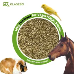 KLASEBO KLASEBO Hanfsaat, Hanfsamen, Futterhanf 10kg für Vögel, Nager und Pferde – Produktbild 1 von 1