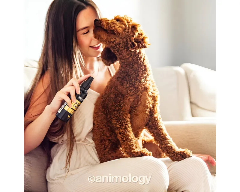 Animology Fellpflege Hundespay Star Pups Body Mist 150 ml – Produktbild 2 von 2