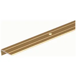 Alberts ALBERTS Treppenkanten-Schutzprofil, Alu gold elox., LxBxHxS 1000x25x10x1,5mm – Produktbild 1 von 1