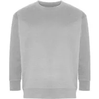 Ecologie by AWDis Ecologie by AWDis Damen Sweatshirt Sweater Pullover Freizeitshirt recycelte Materialien – Produktbild 1 von 1