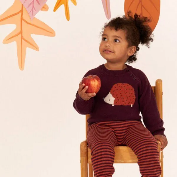 Sense Organics Sense Organics Baby Strickpullover, Modell NAVIN, Igel auf bordeauxrot melange, – Produktbild 2 von 4