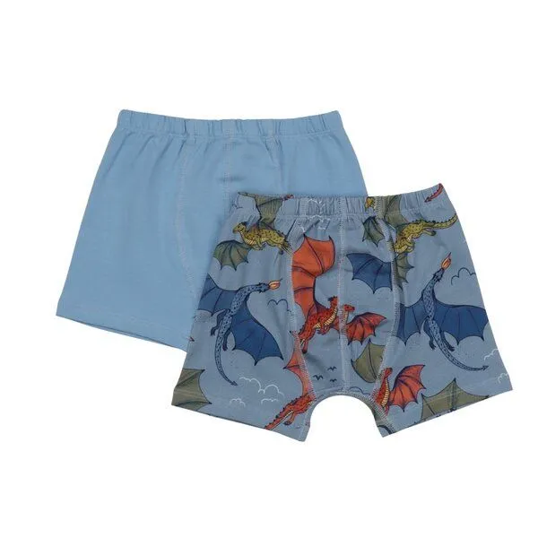Walkiddy Walkiddy Boxershorts Hellblau Bunter Drache-Allover Bio-Baumwolle GOTS – Produktbild 1 von 3