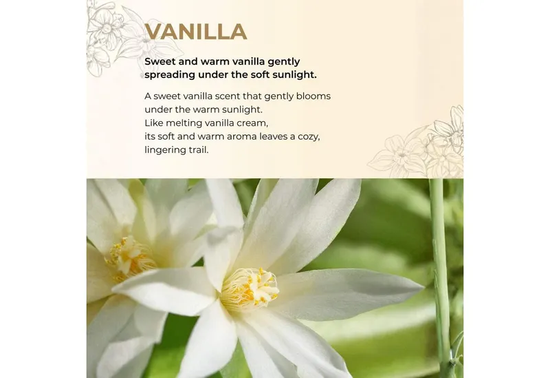 Beauty of Majesty Körperspray Chiffon Vanilla Perfume Body Mist 110ml – Körperspray mit 24h, Vanilleduft, Niacinamid & Hyaluronsäure, koreanisches Duftspray – Produktbild 5 von 5