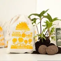 Die Stadtgärtner Die Stadtgärtner 8 Seedbombs "Sonnenblumen" im Mini-Jutebeutel – Produktbild 1 von 1