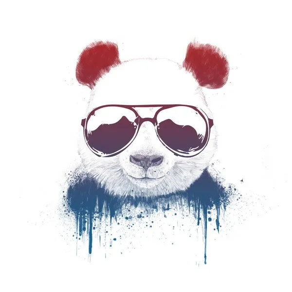 Photocircle Photocircle Poster / Leinwandbild - Stay Cool II – Produktbild 1 von 4