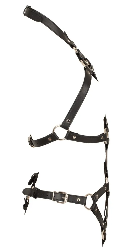 Bad Kitty Harness-Body, mehrfach verstellbar, Schwarz, – Produktbild 4 von 5