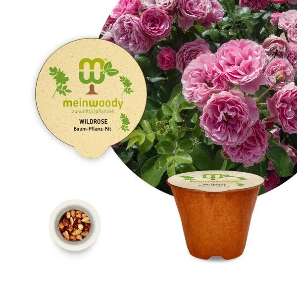 meinwoody meinwoody Baum-Pflanz-Set – Produktbild 8 von 8