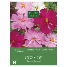 Kölles Beste Saatgutmischung Schmuckkörbchen 'Cosmos Gazebo' – Produktbild 1 von 1