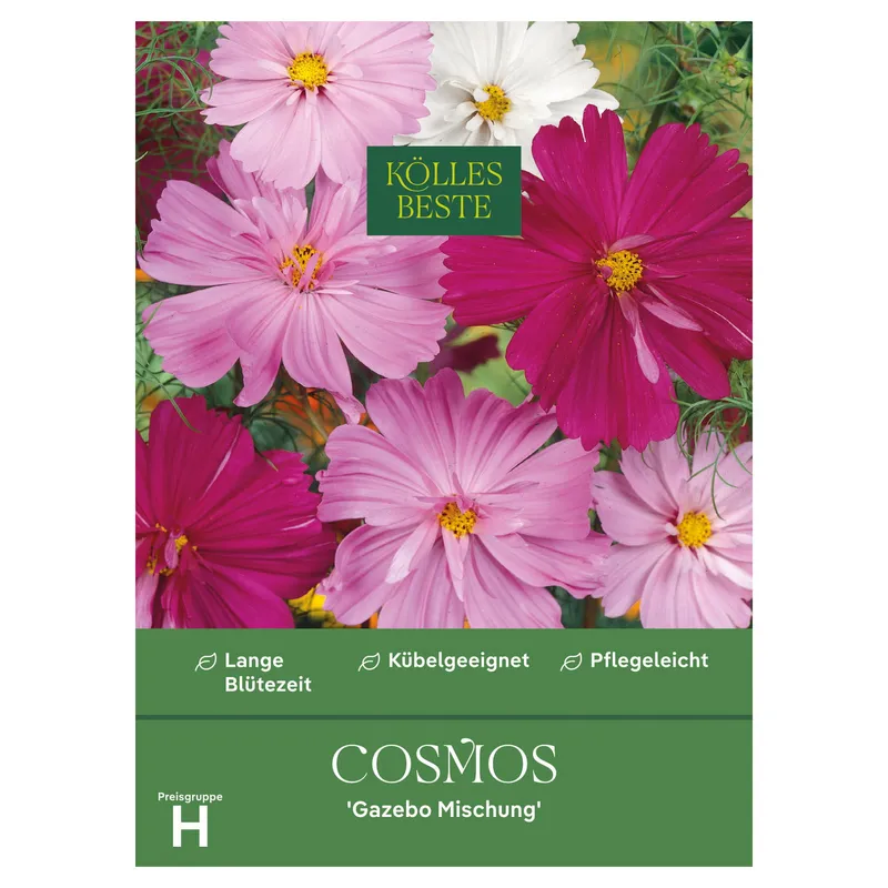 Kölles Beste Saatgutmischung Schmuckkörbchen 'Cosmos Gazebo', Rosaweiß, – Produktbild 1 von 1