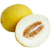 Italien Melonen Canari – Produktbild 1 von 1