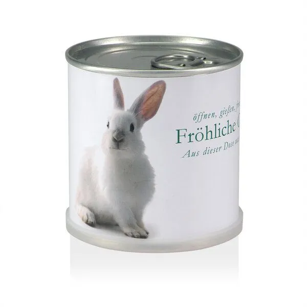 MacFlowers Blumen in der Blumendose Ostern - Osterhase / Vergissmeinnicht Anzucht-Set von MacFlowers – Produktbild 1 von 1