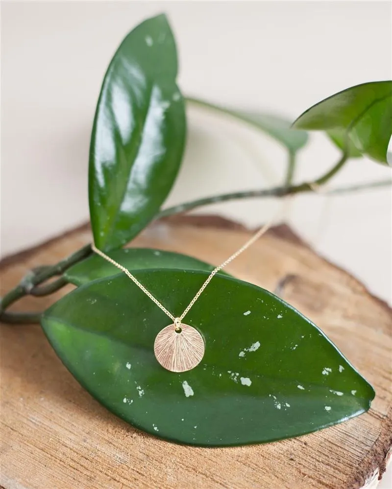 Jewelberry Jewelberry Kette Medium Shell, Vergoldet, – Produktbild 1 von 1