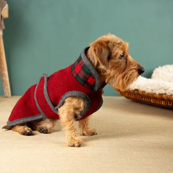 nahtur-design nahtur-design Hundemantel für Dackel | handgefertigt | 100% Schurwolle, Rot_01 (rot), – Produktbild 1 von 4