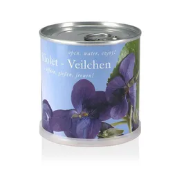 MacFlowers MacFlowers Pflanzen in der Dose - Veilchen – Produktbild 1 von 1