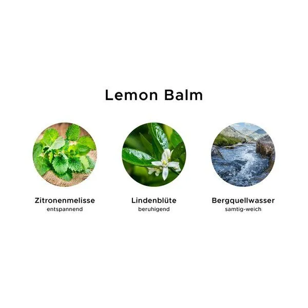 4betterdays 4betterdays Reise-Pflegeset 'Lemon Balm' | 4x 30ml | Körperlotion, Duschgel, Shampoo & Conditioner | tierversuchsfrei & vegan – Produktbild 2 von 3