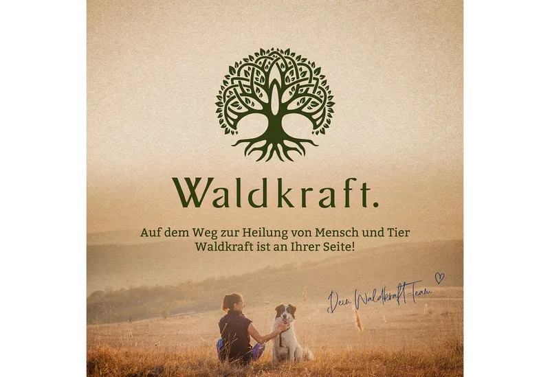 Waldkraft Waldkraft Erdling Borax Pulver, mit 99,9 % Reinheitsgrad – Fein vermahlen & gut löslich für deinen Mineralstoffhaushalt à 380 g – Produktbild 4 von 4