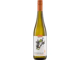 Bio-Weißwein STEFAN J. SCHMITZER Sauvignon Blanc, 0,75 l – Produktbild 1 von 1