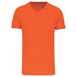 Greenspired Greenspired Basic Unisex Bio V Neck T- Shirt 145 g/m² S - 5 XL – Produktbild 1 von 1