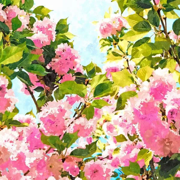 Photocircle Photocircle Poster / Leinwandbild - Day dreaming under the blooming Bougainvilla – Produktbild 1 von 1