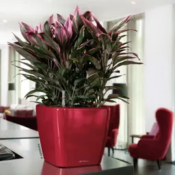 Lechuza® Lechuza® 'Quadro LS 35', scarlet-rot, ca. 35 x 35 x H 33 cm – Produktbild 1 von 1
