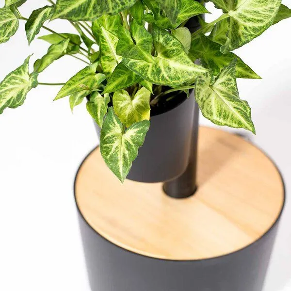 CitySens CitySens vertikaler Blumentopf mit automatischer Bewässerung 3 Blumentöpfe, Schwarz, – Produktbild 2 von 4