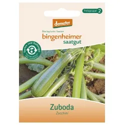 Bingenheimer Saatgut Zucchini Zuboda – Produktbild 1 von 1