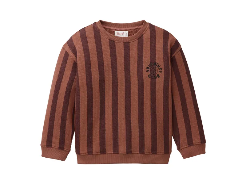 People Wear Organic People Wear Organic Sweat-Pullover Bio-Baumwolle (kbA) Blockstreifen mahagoni 98/104, Braun, – Produktbild 1 von 1