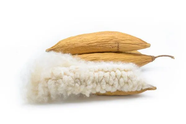 purnatour purnatour Kapok Sommerbettdecke – Produktbild 4 von 4