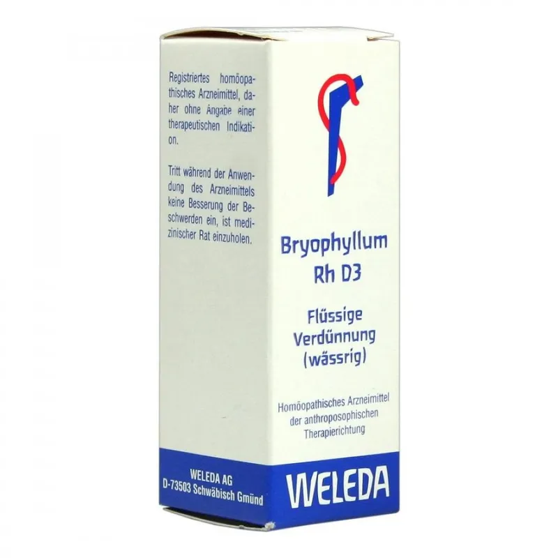 Weleda Bryophyllum Rh D3 Dilution – Produktbild 1 von 1