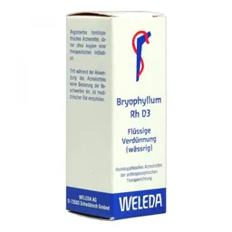 Weleda Bryophyllum Rh D3 Dilution – Produktbild 1 von 1