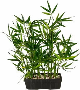 Kunstpflanze Bambus Bambus, I.GE.A., Höhe 41 cm – Produktbild 1 von 1