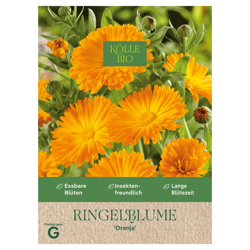 Kölle Bio Kölle Bio Saatgut Ringelblume 'Oranja', Orange, – Produktbild 1 von 1