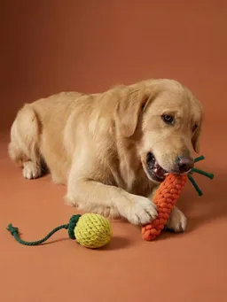 Vertbaudet Hundespielzeug-Set aus Seil – Produktbild 1 von 1