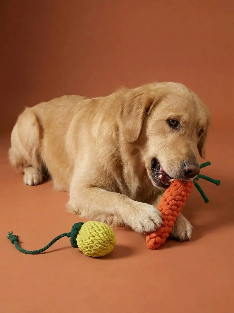 Vertbaudet Hundespielzeug-Set aus Seil, Gelb, – Produktbild 1 von 4