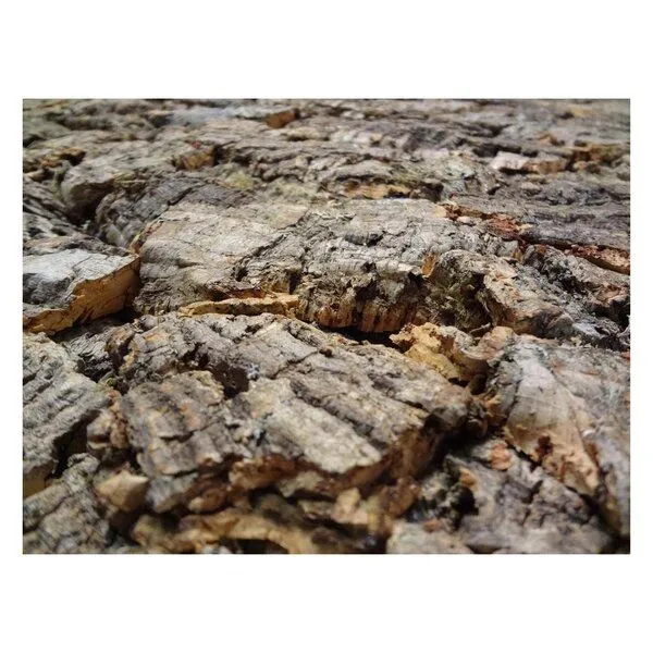Kork-Deko Kork-Deko 129,89 EUR/qm Korkrückwand Forest 60 x 30 cm (Rückwand Terrarium), 3D Kork-Rückwand 600 x 300 mm – Produktbild 1 von 7