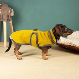 nahtur-design nahtur-design Hundemantel für Dackel | handgefertigt | 100% Schurwolle – Produktbild 1 von 1