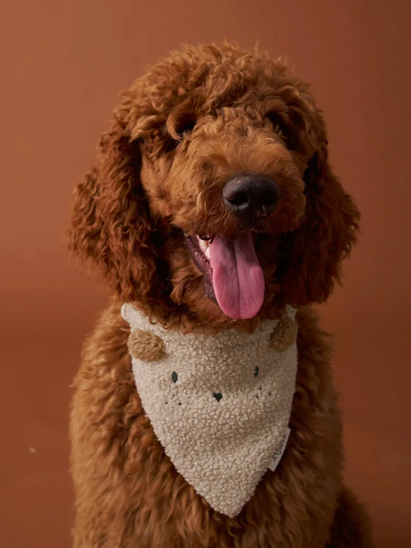 Vertbaudet Hundehalsband mit integriertem Bandana, Wollweiß, – Produktbild 2 von 4