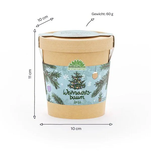 Die Stadtgärtner Die Stadtgärtner Weihnachtsbaum aus dem Becher Anzuchtset – Produktbild 4 von 4