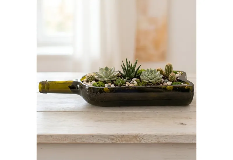 Upglassic Upglassic Upcycling-Planter | Weinflasche | Pflanzgefäß für Sukkulenten – Produktbild 6 von 8
