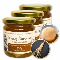 Wellness-Drinks Ginseng Kombucha Drink mit Teepilz (groß) – Produktbild 1 von 1